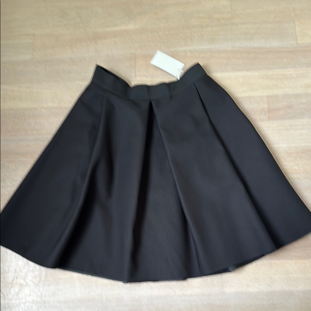 Cos Elegant Black Pleated Skirt